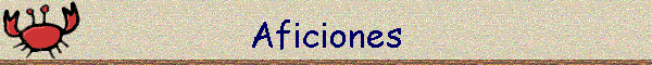 Aficiones