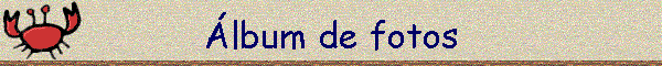 �lbum de fotos